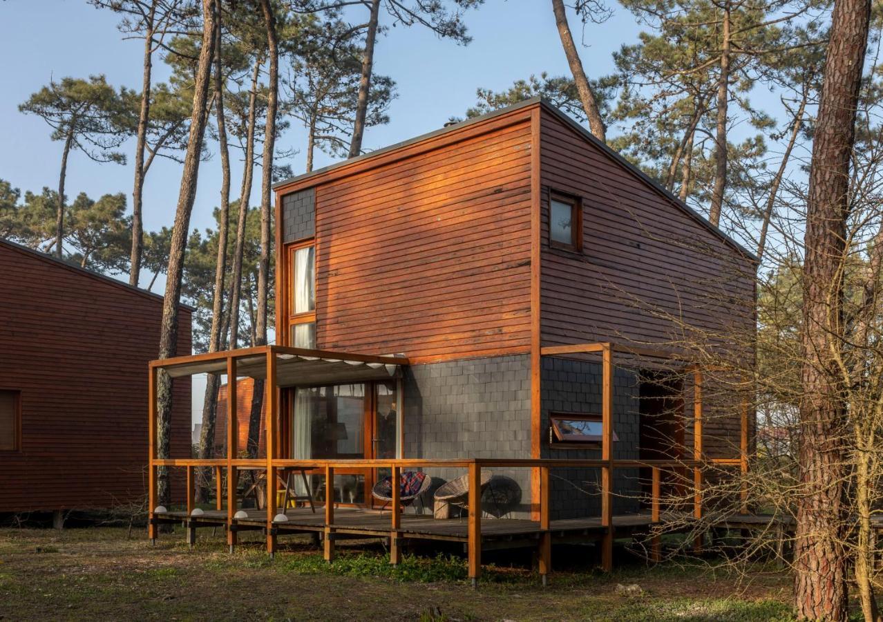Bungalow B2 - Nature, Beach & River Офір Екстер'єр фото