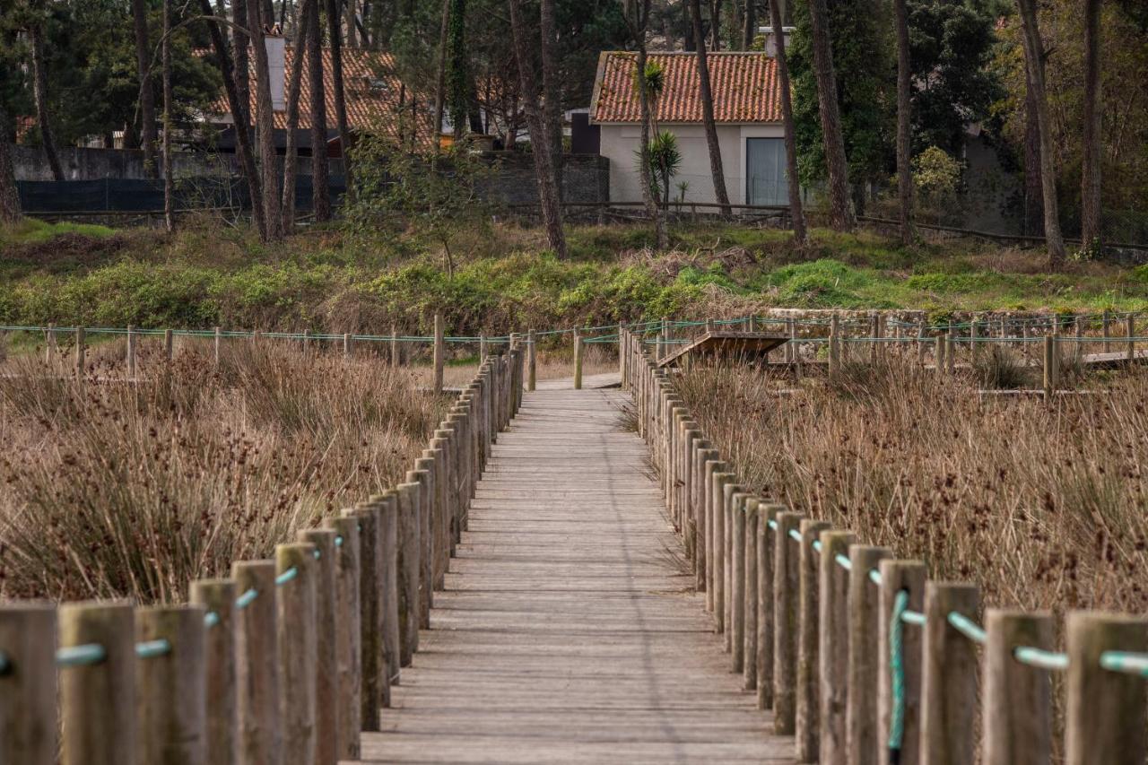 Bungalow B2 - Nature, Beach & River Офір Екстер'єр фото